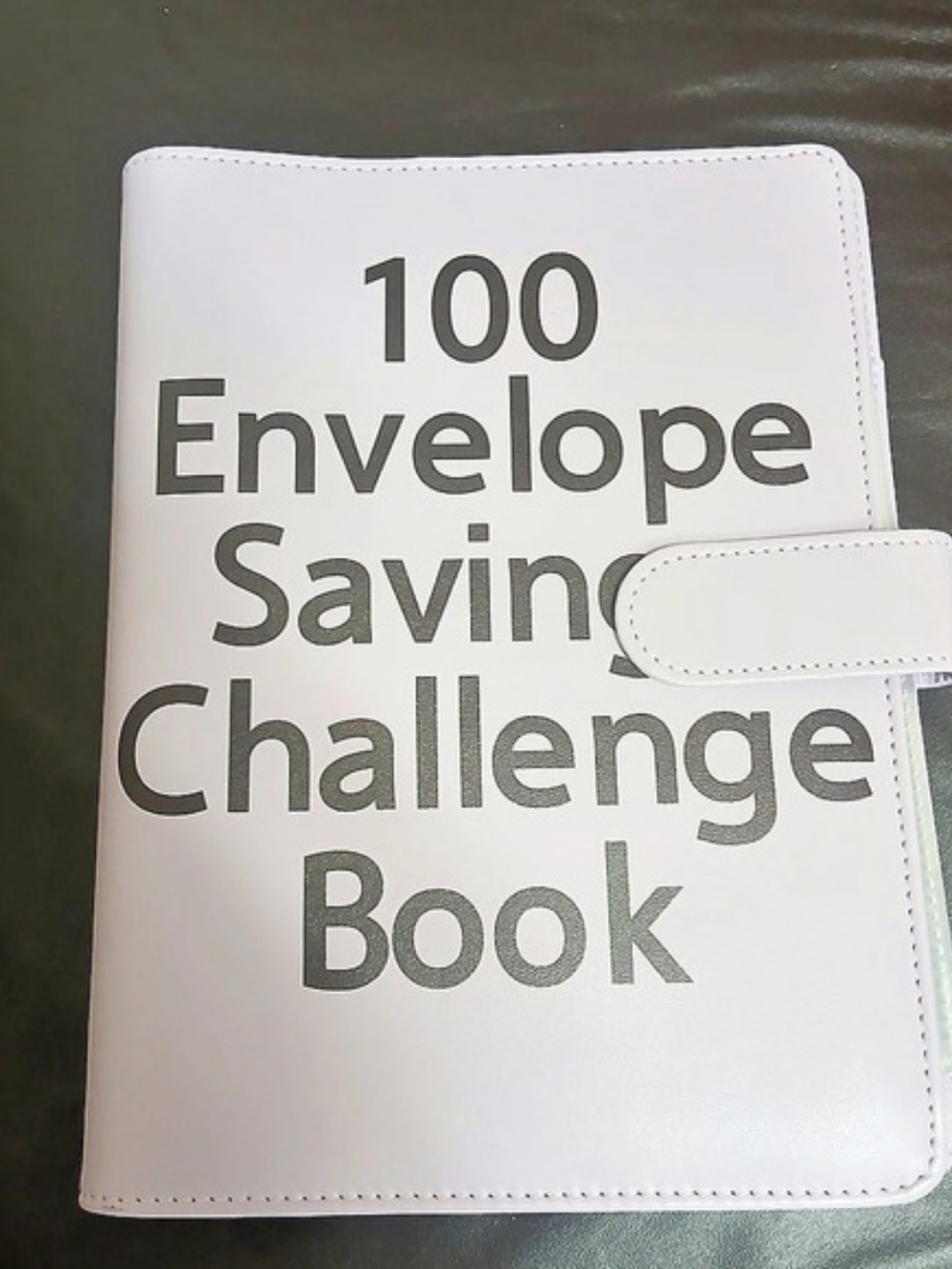 100 Envelope Saving Challenge Book Savings Challenge Binder